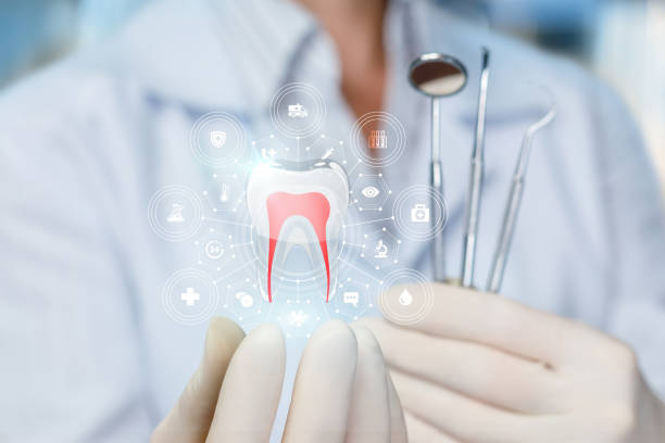 Trusted Meridian, PA  Holistic Dental Services Experts